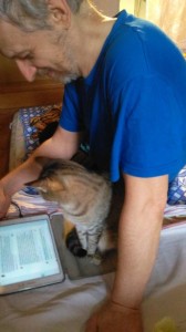 Create meme: cat portrait, cat doing homework, cat hugs owner