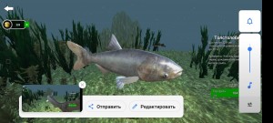 Создать мем: симулятор рыбалки, ultimate fishing simulator, ultimate fishing simulator сом