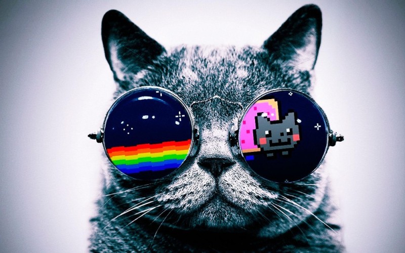 Create meme: the cat in space glasses, Yegor Letov , to alexander