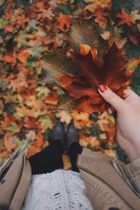 Create meme: friends in autumn, autumn leaves in the hands photo, fall