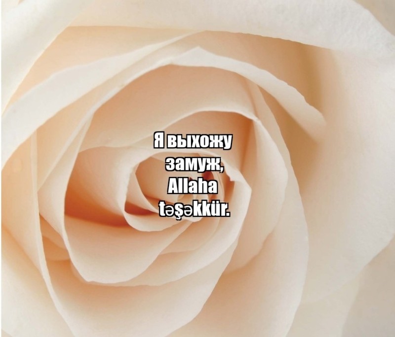 Создать мем: белые розы, розовые розы, роза кремовая