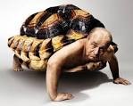 Create meme: turtle , turtle man, tortoise shell