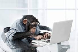 Создать мем: обезьяна умная, обезьянка за компьютером, обезьяна за ноутбуком
