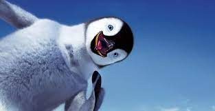 Создать мем: белый пингвин, прикольные пингвины, смешные пингвины