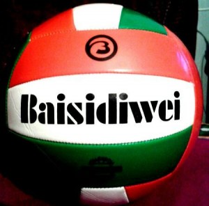 Create meme: volleyball ball, ball for volleyball, ball volleyball