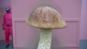 Create meme: mushroom