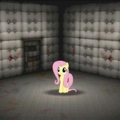 Create meme: my little pony fluttershy , darkness, psychiatric hospital room