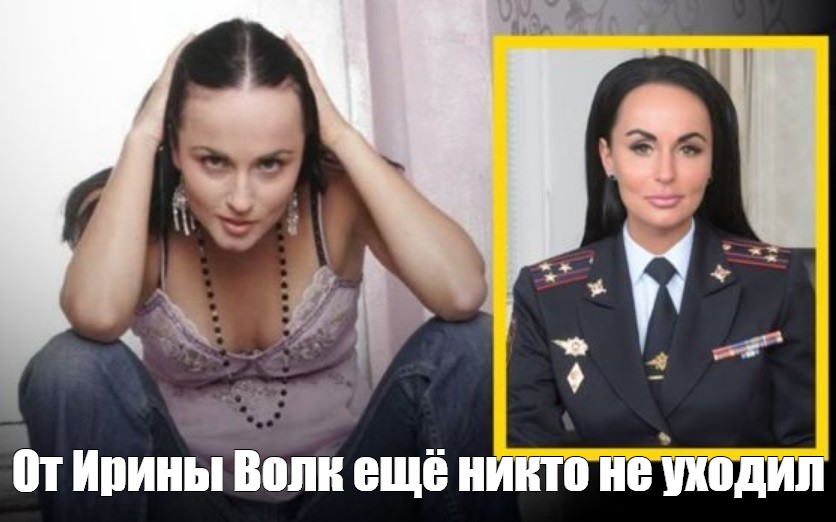 Пародия на ирину волк