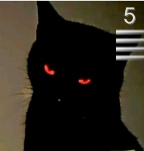 Создать мем: чёрный котенок сохры, кот с красными глазами, черная кошка