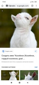 Создать мем: goat meme, мемы с козленком, козленок мем