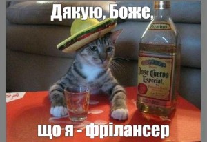 Create meme: cat with a bottle, tequila funny pics, the cat tequila