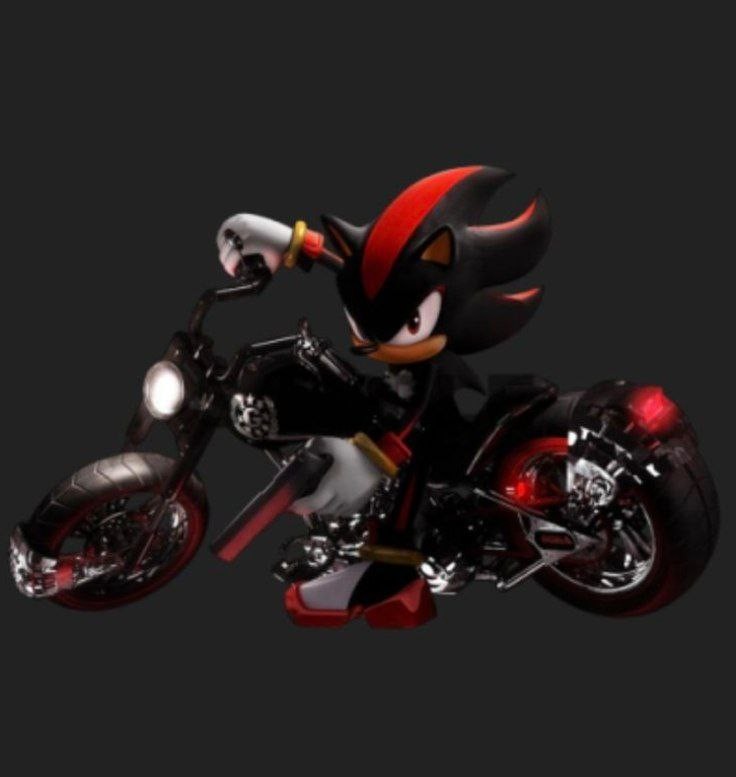 Create meme: Shadow from team sonic racing, hedgehog shadow on a motorcycle, shadow the hedgehog game