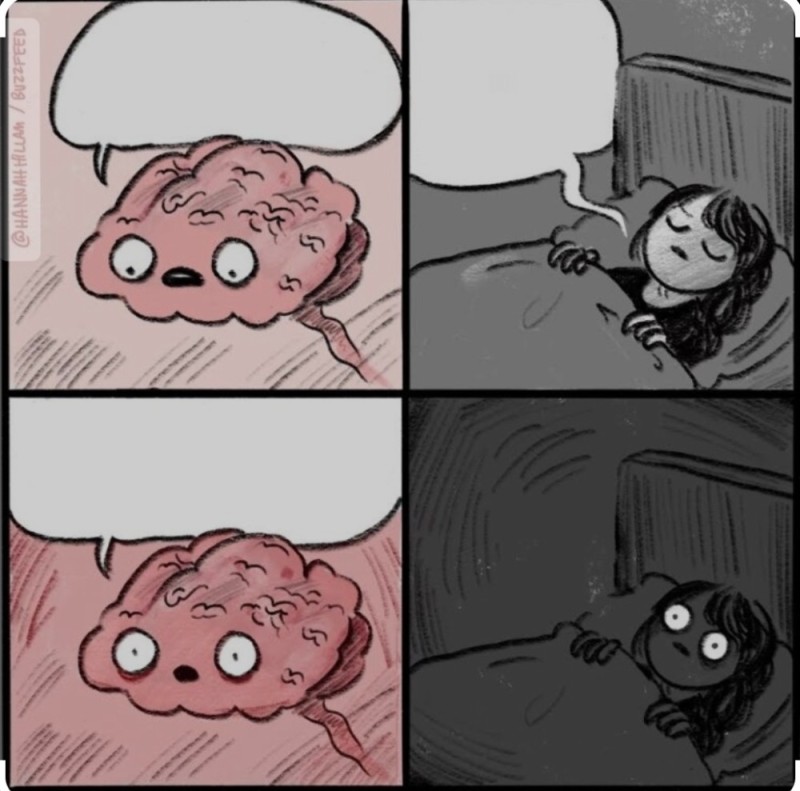 Create meme: comics about the brain and sleep, brain at night meme, meme brain 