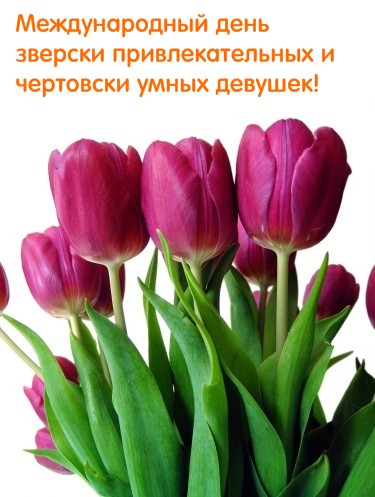 Create meme: megafon wallpaper, tulip ines, tulips 