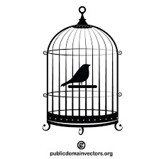 Create meme: birds in a cage