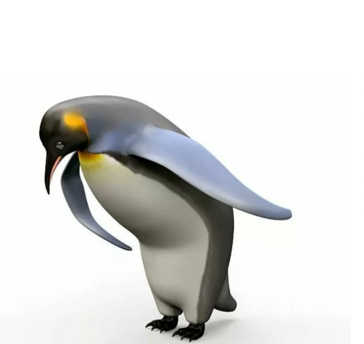 Create meme: the penguin bows meme, penguin thank you meme, penguin meme