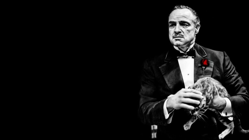 Create meme: don Corleone , don corleone with a cat, mafia don Corleone