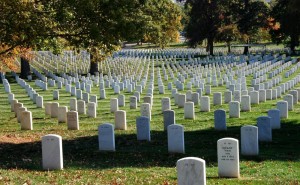 Create meme: new cemetery, graves in USA, Arlington national cemetery