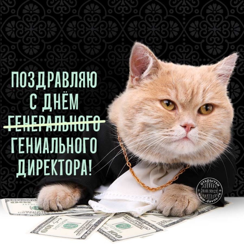 Создать мем: открытки поздравления, кот миллионер, денежный кот