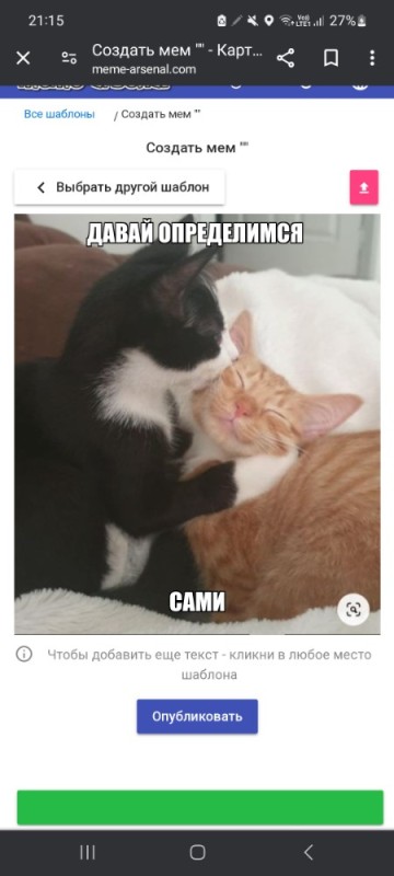 Создать мем: кошка, кот целует, котики смешные