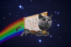 Создать мем: коты, нян кот, cat in space