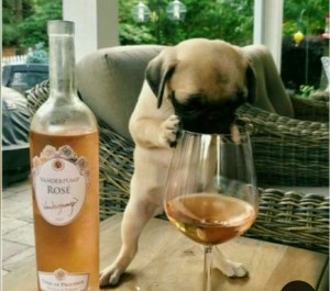Создать мем: собака, песик с вином, собака с бокалом