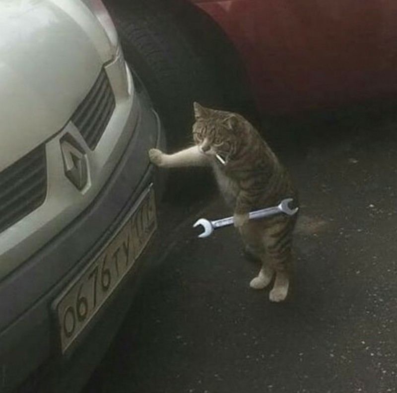 Создать мем: кот слесарь, кот с ключом, котик с гаечным ключом