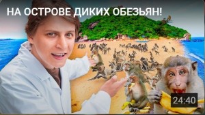 Create meme: wild monkey, monkey, monkey island