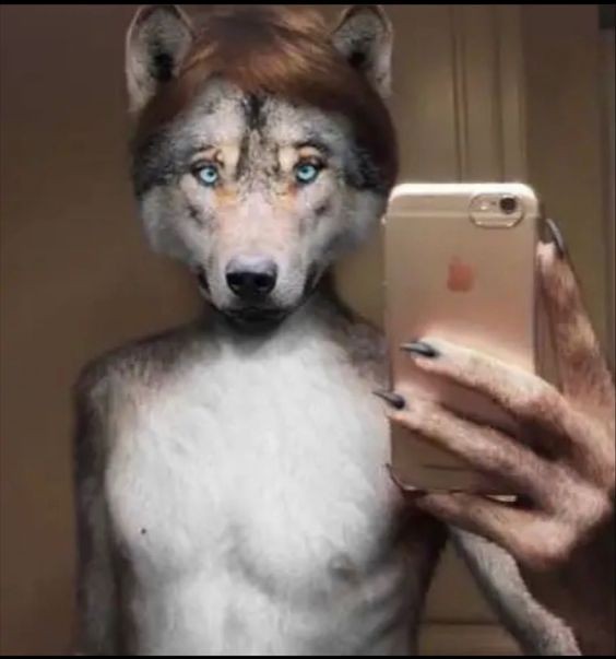 Create meme: guy , wolf , wolves are cool