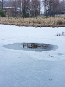 Create meme: pond, the ice on the river