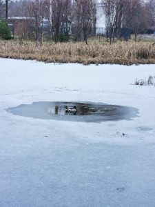 Создать мем: пруд зимой, пруд на участке зимой, водоем