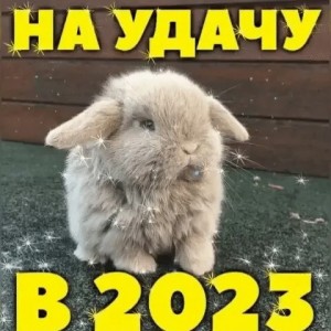 Create meme: fluffy Bunny, sad rabbit, rabbit