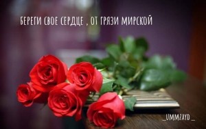 Создать мем: розы обои 1600x900, букет красный, flowers