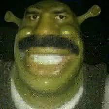 Create meme: boy, shrek 1, the face of Shrek