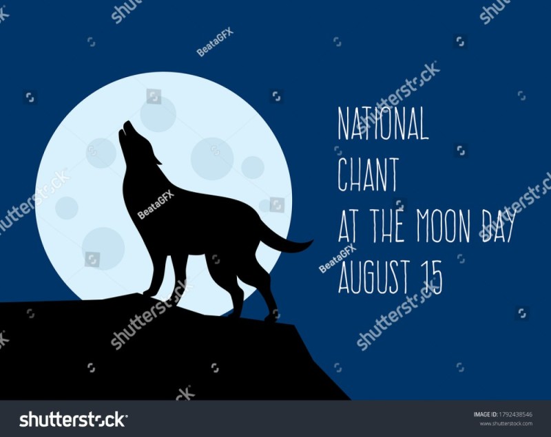 Создать мем: волк космос, силуэт волка на горе, волк на фоне луны
