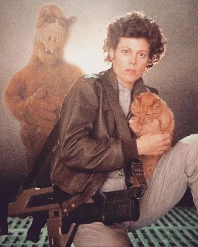 Create meme: guy , Ripley , Sigourney weaver alien