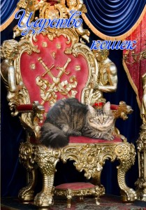 Создать мем: трон, кошка царь, throne