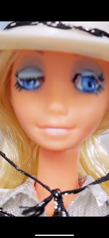 Create meme: barbie, barbie western 1980, Barbie