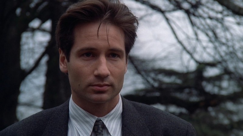 Create meme: classified material , mulder , Mulder 