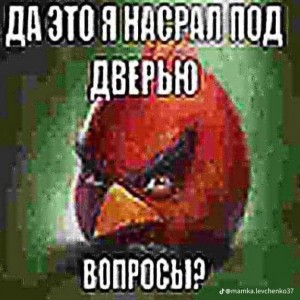 Создать мем: энгри бердз реалистичные, дурка мем, angry birds red