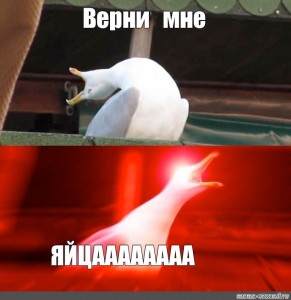 Create meme: a deep breath, Seagull meme, screaming Seagull meme