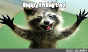 Create Meme Congratulations Caleb I M So Proud Of You Enotik Friday Funny Raccoons Raccoon Pictures Meme Arsenal Com
