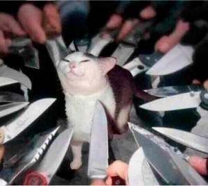 Create meme: cat with knives around, the cat with a knife meme