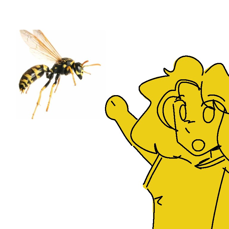 Create meme: wasp , bee hornet, bee and wasp