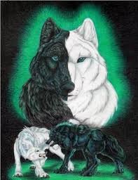 Create meme: good and evil pictures of wolves, the evil and the good wolf pictures, two wolves