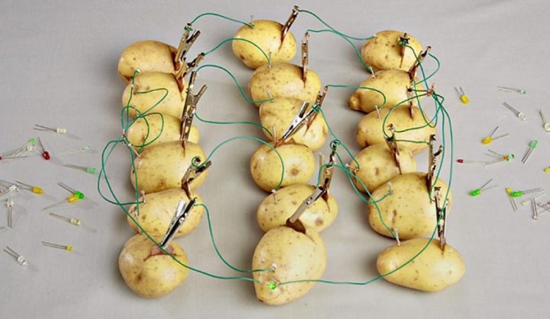 Создать мем: картофель, батарейка из картошки, картошка электричество