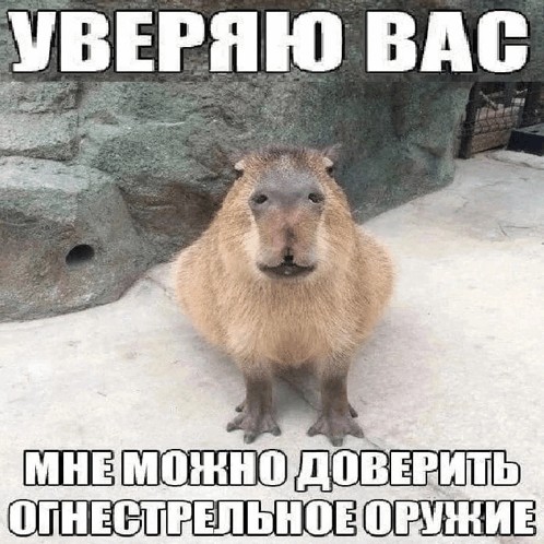 Create meme: funny capybara, rodent capybara, capybara memes