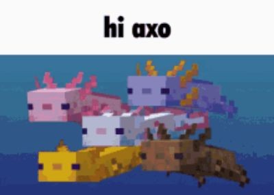 Create meme: minecraft axolotl, axolotl in minecraft, types of axolotls in minecraft