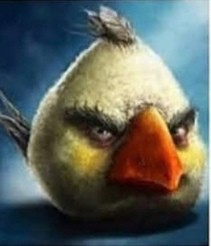 Создать мем: сэм спратт энгри бердс, красный кардинал энгри бердз, sam spratt realistic angry birds