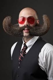 Create meme: funny mustache, long whiskers, moustache 